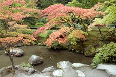 Autumn Charm In Japanese Garden Stock Photos Autumn Charm In Japanese Garden Stock Photos