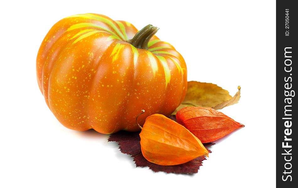 Autumn decoration with pumpkins on a white background