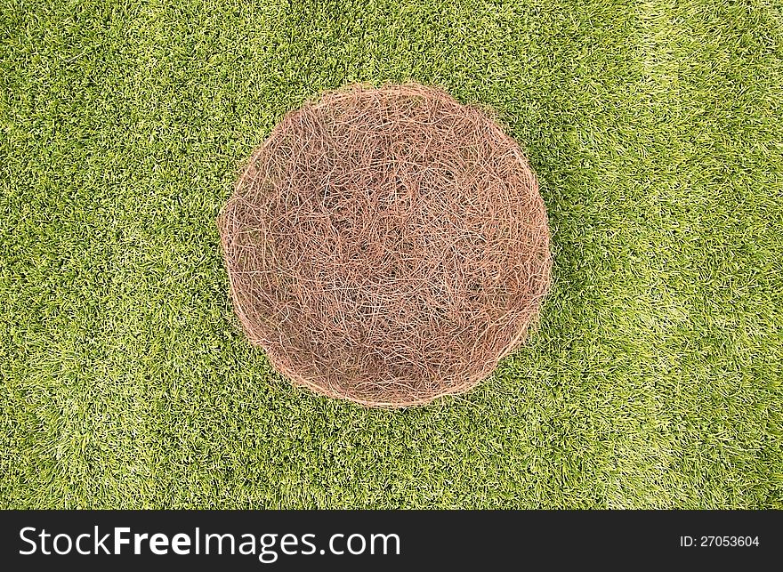 Sea gross bowl of green grass