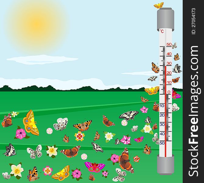 The thermometer on the background of the summer landscape. The illustration on a white background.