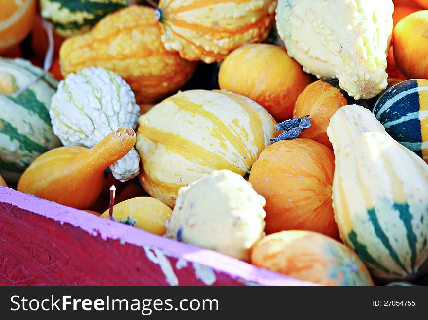 A variety of gourds and squash in a wooden bin. A variety of gourds and squash in a wooden bin.