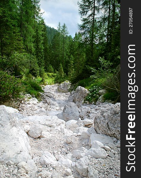 River white rocks in the forest. River white rocks in the forest