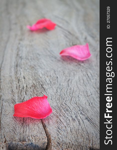 Petals Of Pink Roses On A Wooden Texture.