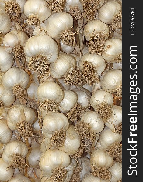 Young freshly harvested garlic very healthy foods. Young freshly harvested garlic very healthy foods