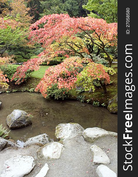 Beautiful autumn colors with pond and rocks. Beautiful autumn colors with pond and rocks