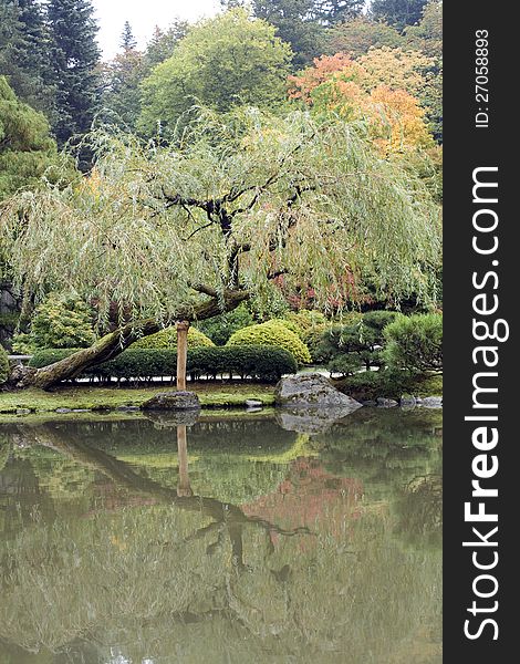 Beautiful fall colors in Japanese garden with reflection. Beautiful fall colors in Japanese garden with reflection.