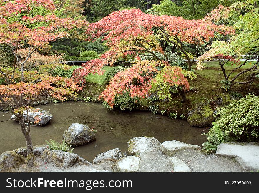 Beautiful autumn colors with pond and rocks. Beautiful autumn colors with pond and rocks