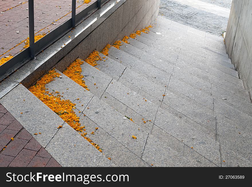 City stairs with fallen yellow petals of acacia flowers