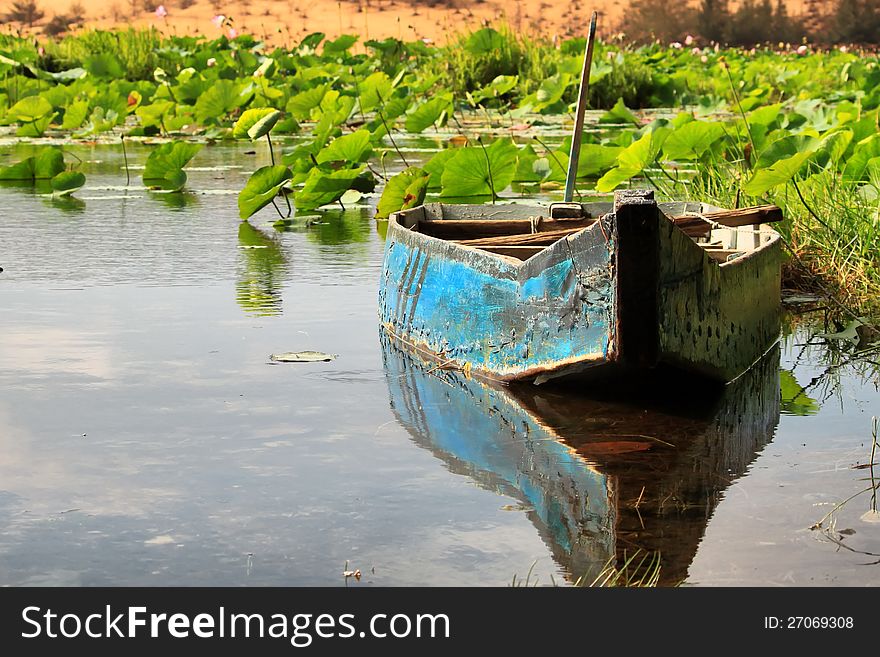 Photo of lotus lake with a boat