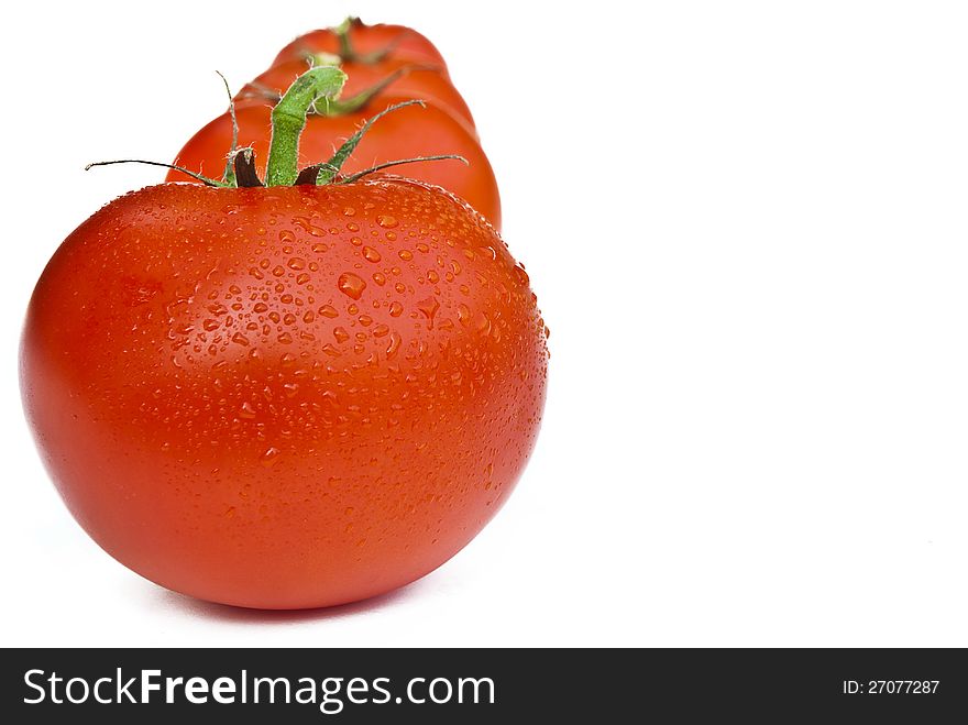 Line of tomatoes   on white