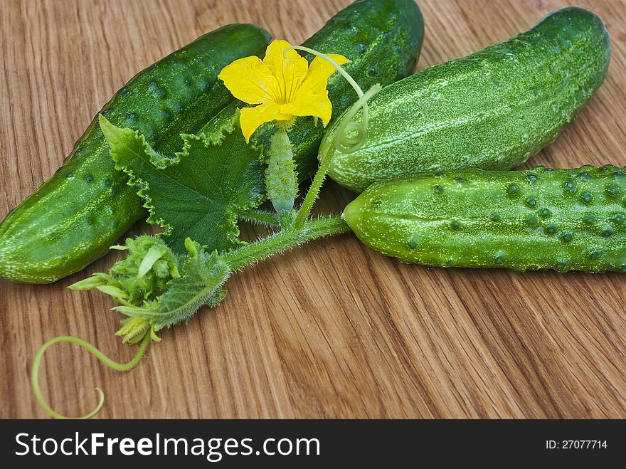 Some cucucmbers with flower on wood plate. Some cucucmbers with flower on wood plate