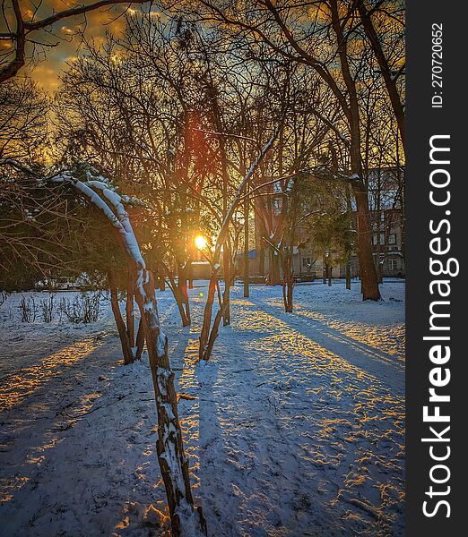 Odessa Gorky park in the winter