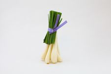 Spring Onion Royalty Free Stock Images Spring Onion Royalty Free Stock Images