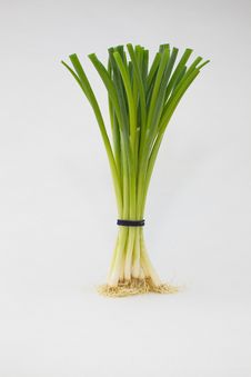 Spring Onion Royalty Free Stock Photos Spring Onion Royalty Free Stock Photos