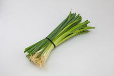 Spring Onion Royalty Free Stock Images Spring Onion Royalty Free Stock Images