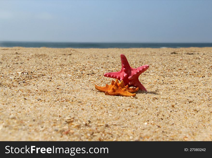 Two funny fish stars on the empty beach. Two funny fish stars on the empty beach