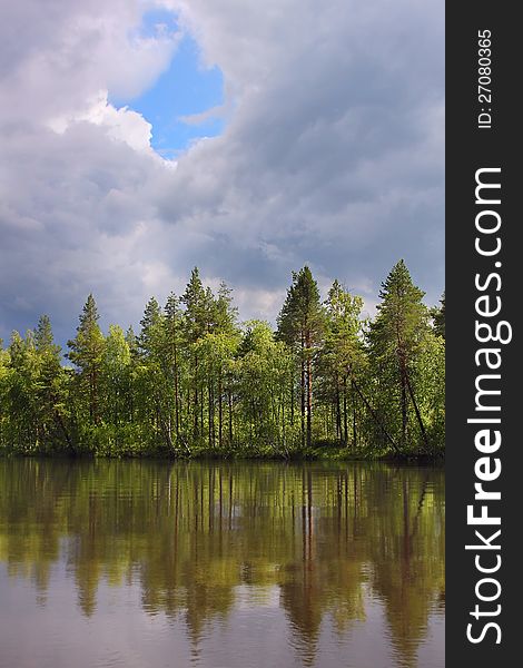 Beautiful forest on the lake with sky