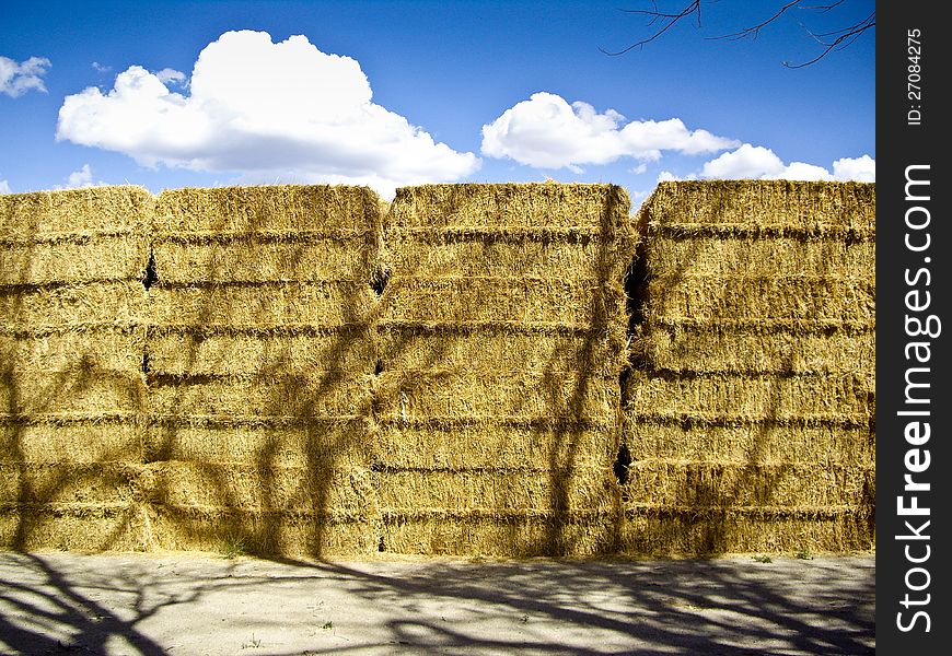 Hay bales dry in the sunlight. Hay bales dry in the sunlight