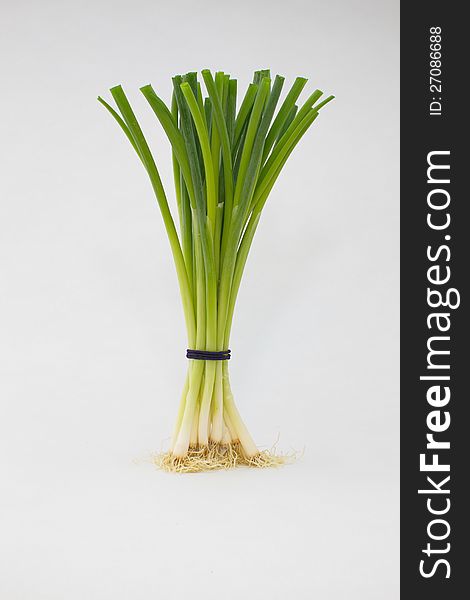 Bunch of spring onion on white background