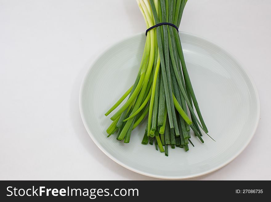 Bunch of spring onion on white background