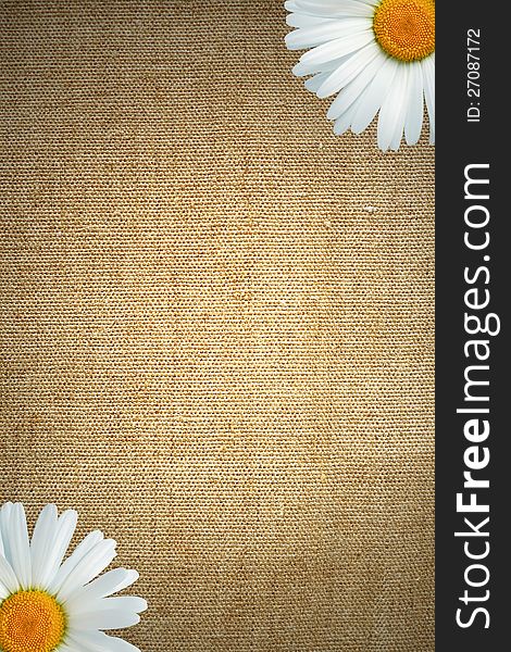 Two big daisies on old canvas background with free space for text. Two big daisies on old canvas background with free space for text
