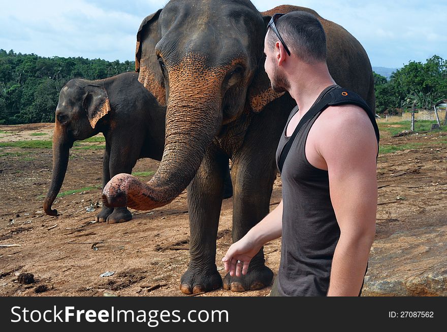 Man stands near to elephant at one meter. Man stands near to elephant at one meter