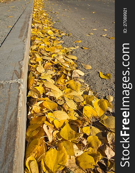 Yellow fallen leaves on the sidewalk. concept autumn