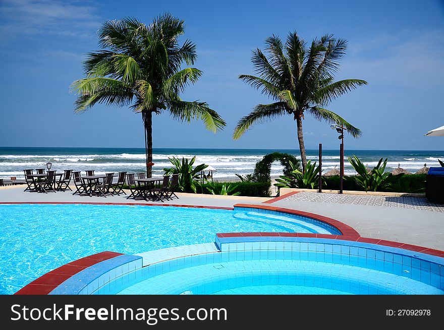 Palm Trees and  Swimming Pool. Palm Trees and  Swimming Pool