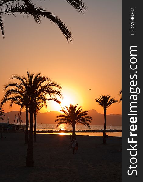 Sunset over the beach. Spain