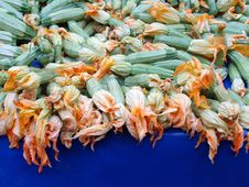 Squash Stock Image Squash Stock Image