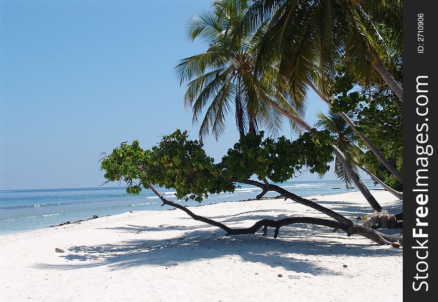 A tropical sandy beach of Maldives