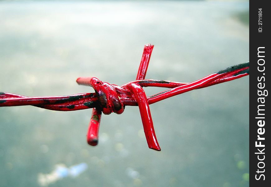 Red Barbwire