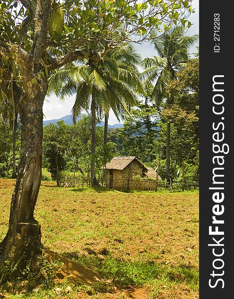 Dumagat Hut in Palanan, Isabela, Philippines.  The once nomadic people have started to settle in the lowlands and are now cultivating lands.