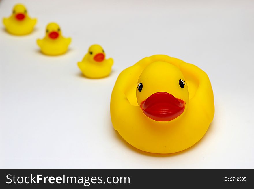 Duck-leader