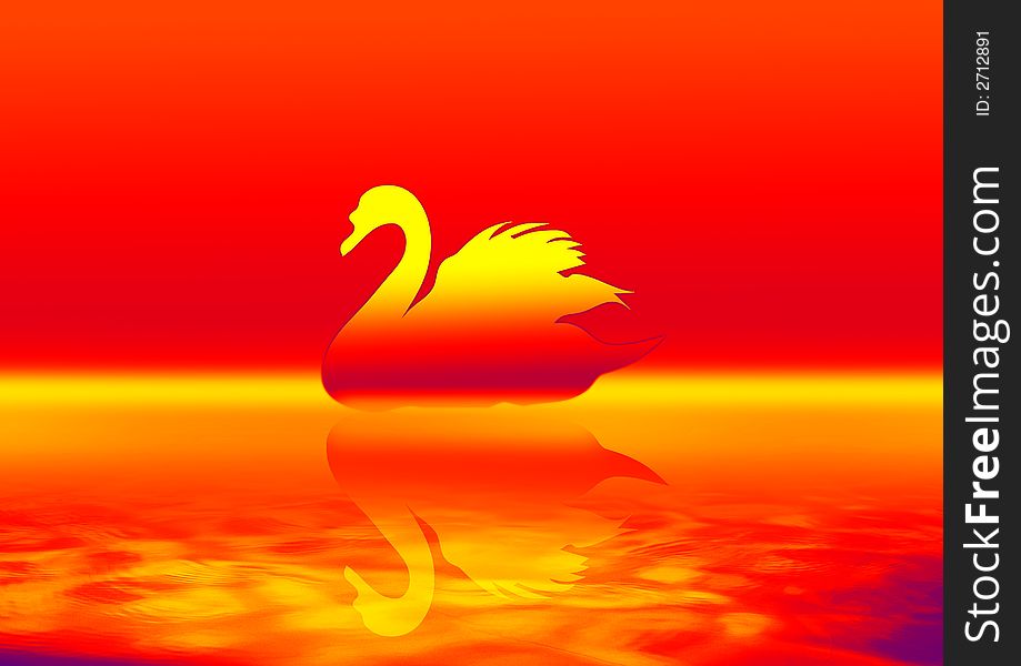 Graceful swan lit by the red color ground. Graceful swan lit by the red color ground