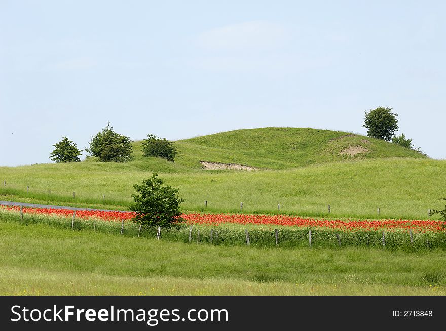 Landscape with flowers, trees and hill