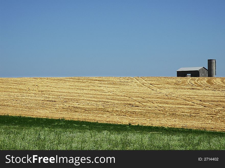 Harvested Field