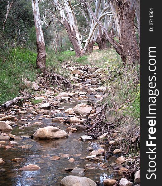 Looking up a creek at Morialta falls in South Australia. Looking up a creek at Morialta falls in South Australia.