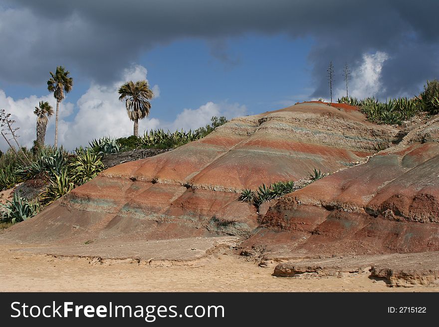 Coloured Cliffs With Palms