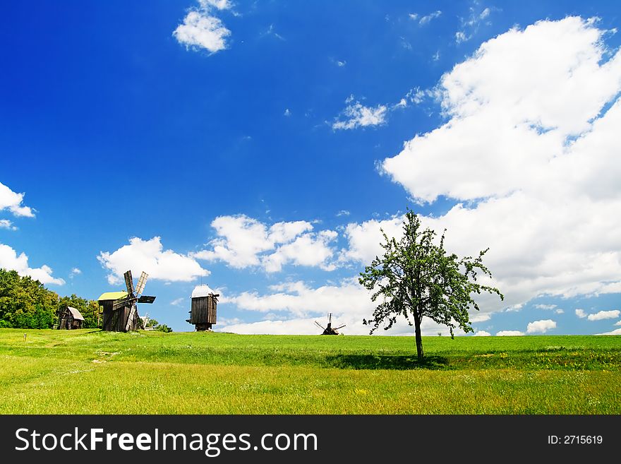 Landscape with  few mill and tree. Ukraine.