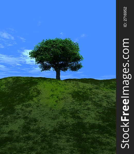 A image of a isolated single tree, with a sky background. A image of a isolated single tree, with a sky background.