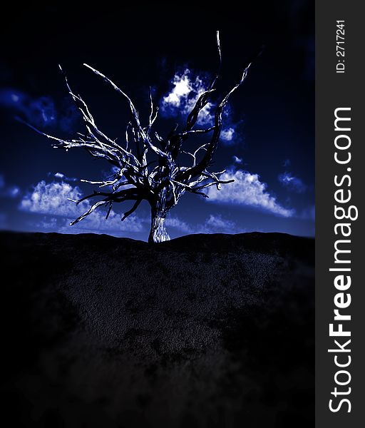 A image of a dead isolated single tree, or it could be winter, with a sky background. A image of a dead isolated single tree, or it could be winter, with a sky background.
