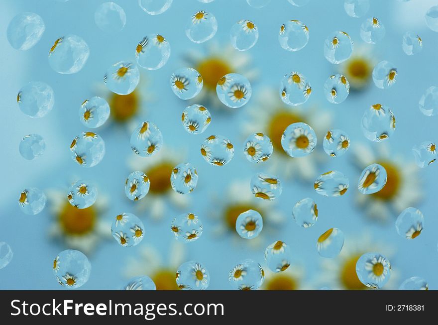 Reflections of little flowers in waterdrops on blue background. Reflections of little flowers in waterdrops on blue background
