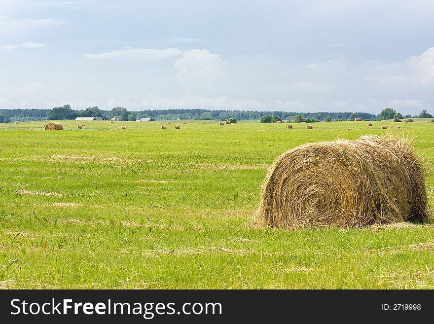 Hay bales on the swathe