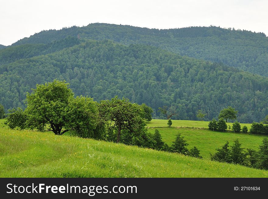 Landscape in the vicinity of the place Hasel at the edge of the south Black Forest.