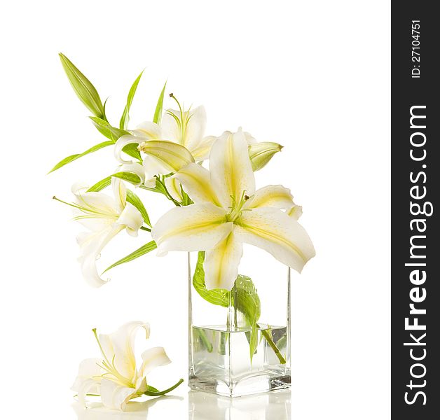 Bouquet of white lilies in glass vase on white background
