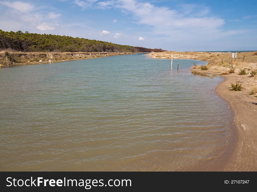 Mouth of Bevano, ravenna, italy