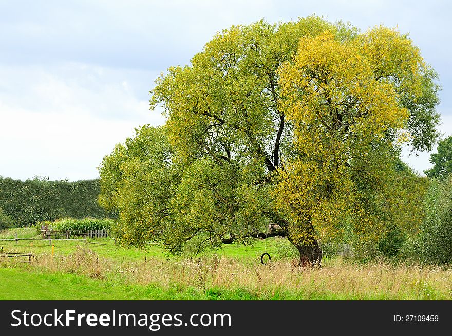 Rural Scenery In Autumn