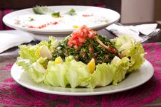 Oriental Salad Royalty Free Stock Photography