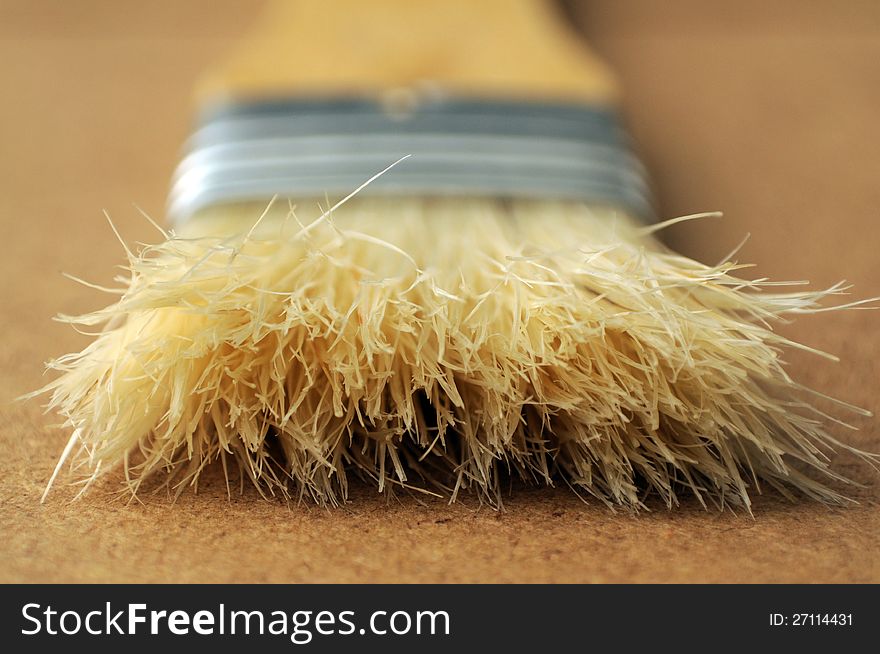 Macro of flat paintbrush bristles